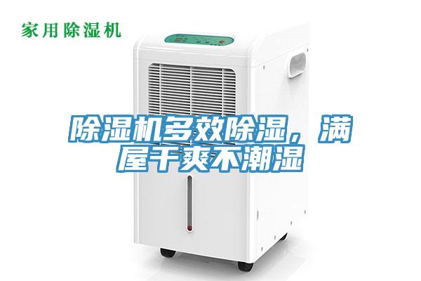 除濕機多效除濕，滿(mǎn)屋干爽不潮濕