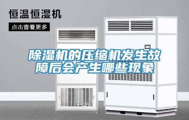 除濕機的壓縮機發(fā)生故障后會(huì )產(chǎn)生哪些現象