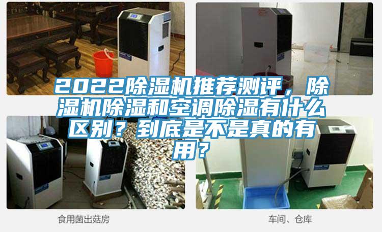 2022除濕機推薦測評，除濕機除濕和空調除濕有什么區別？到底是不是真的有用？
