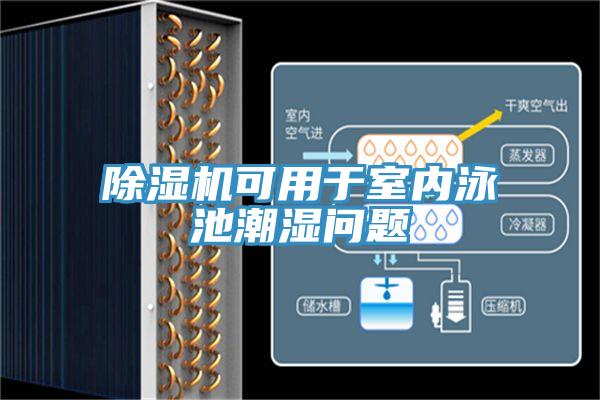 除濕機可用于室內泳池潮濕問(wèn)題