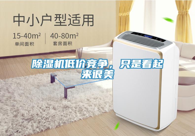 除濕機低價(jià)競爭，只是看起來(lái)很美