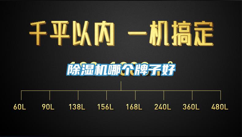 除濕機哪個(gè)牌子好
