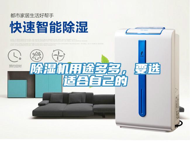 除濕機用途多多，要選適合自己的
