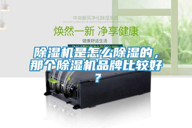 除濕機是怎么除濕的，那個(gè)除濕機品牌比較好？