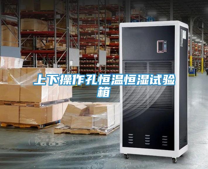 上下操作孔恒溫恒濕試驗箱
