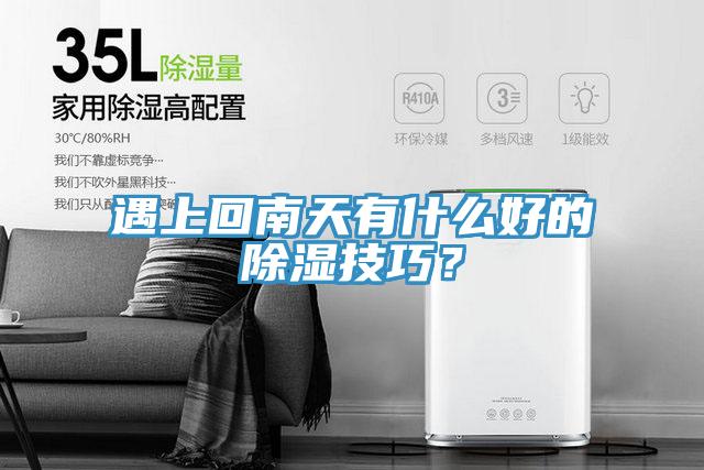 遇上回南天有什么好的除濕技巧？