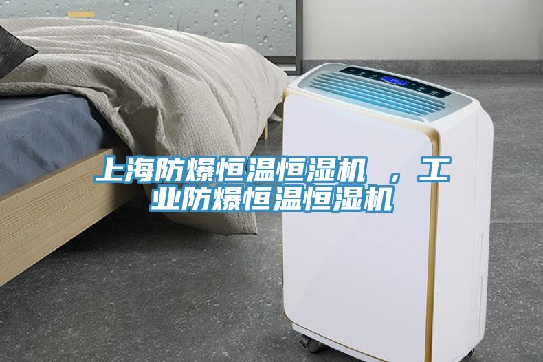 上海防爆恒溫恒濕機 ，工業(yè)防爆恒溫恒濕機
