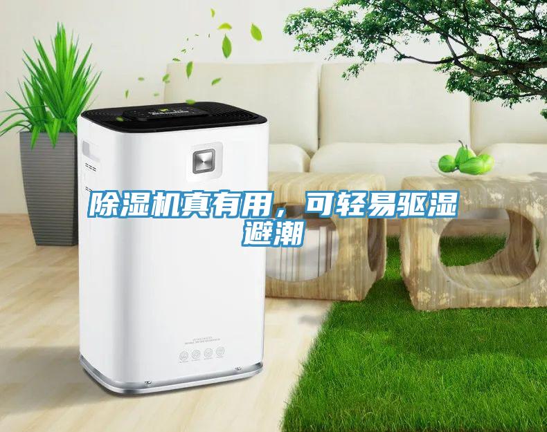 除濕機真有用，可輕易驅濕避潮