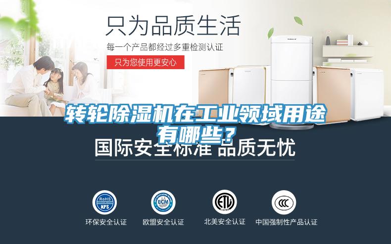 轉輪除濕機在工業(yè)領(lǐng)域用途有哪些？