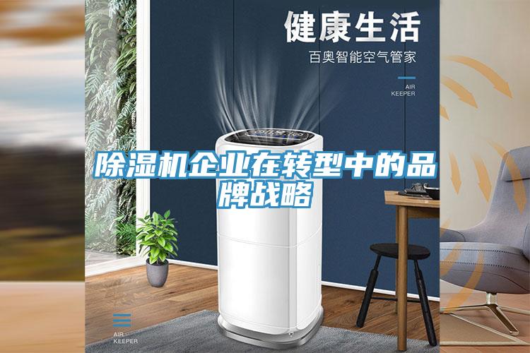 除濕機企業(yè)在轉型中的品牌戰略