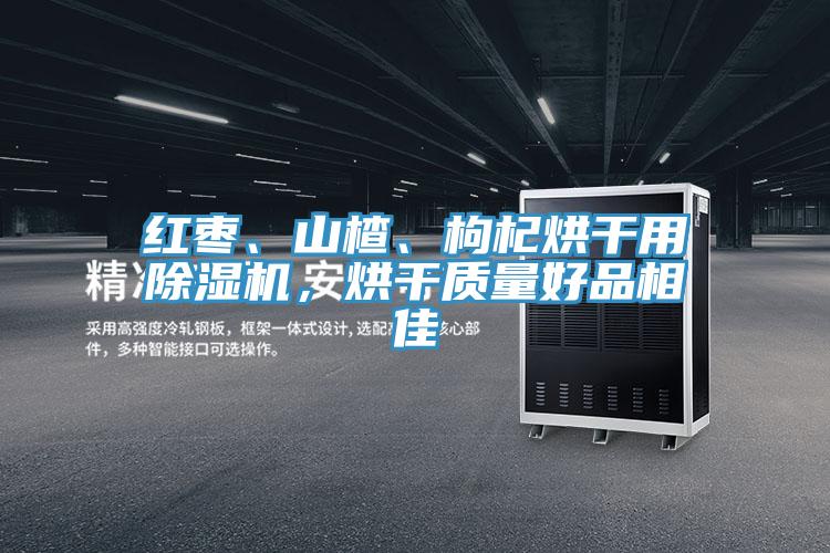 紅棗、山楂、枸杞烘干用除濕機，烘干質(zhì)量好品相佳