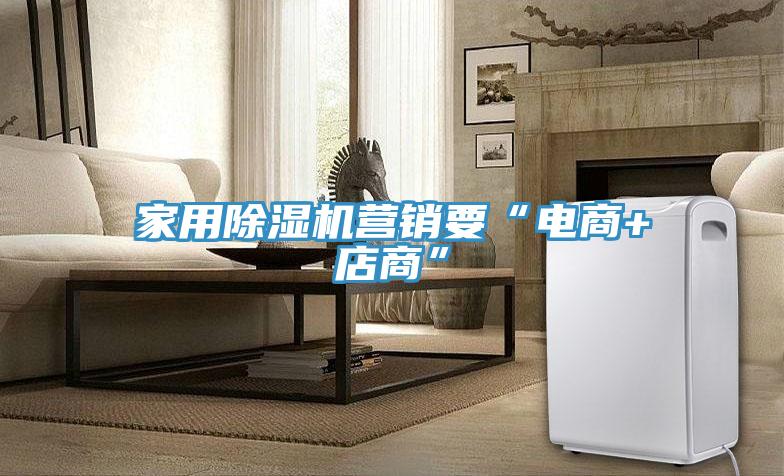 家用除濕機營(yíng)銷(xiāo)要“電商+店商”