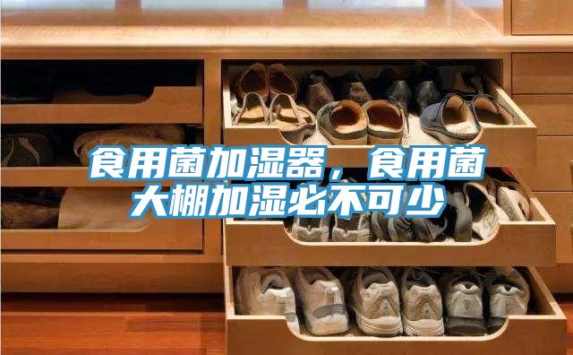 食用菌加濕器，食用菌大棚加濕必不可少