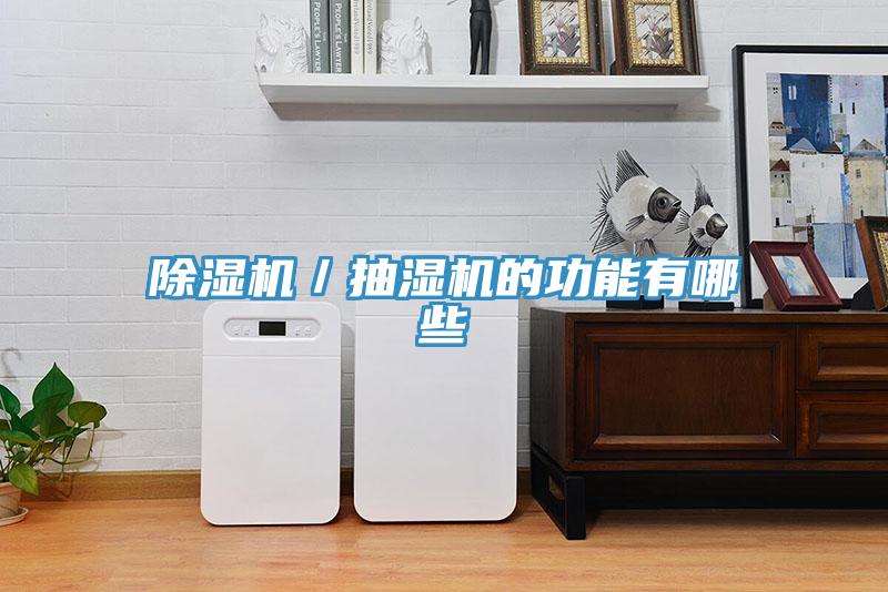 除濕機／抽濕機的功能有哪些