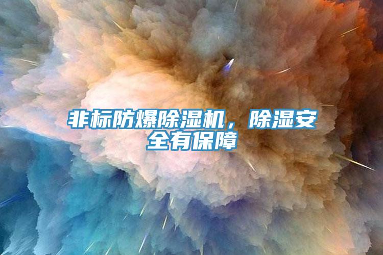 非標防爆除濕機，除濕安全有保障