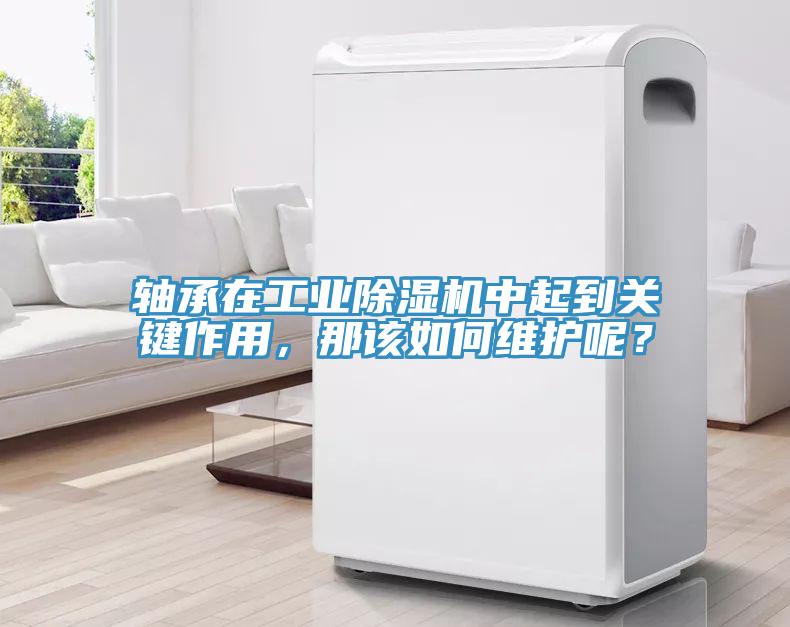 軸承在工業(yè)除濕機中起到關(guān)鍵作用，那該如何維護呢？