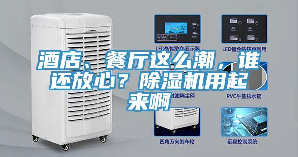 酒店、餐廳這么潮，誰(shuí)還放心？除濕機用起來(lái)啊