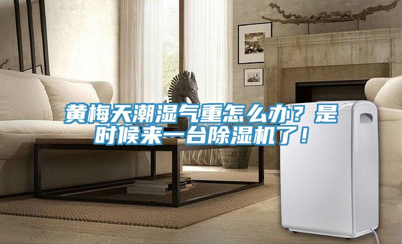黃梅天潮濕氣重怎么辦？是時(shí)候來(lái)一臺除濕機了！