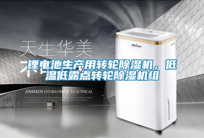 鋰電池生產(chǎn)用轉輪除濕機，低溫低露點(diǎn)轉輪除濕機組