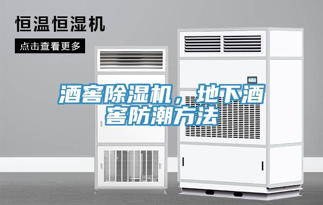 酒窖除濕機，地下酒窖防潮方法
