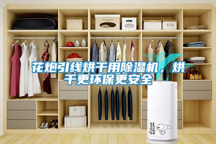 花炮引線(xiàn)烘干用除濕機，烘干更環(huán)保更安全