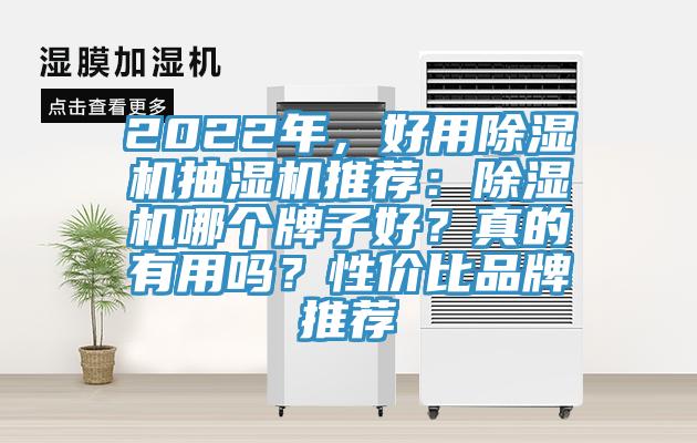 2022年，好用除濕機抽濕機推薦：除濕機哪個(gè)牌子好？真的有用嗎？性?xún)r(jià)比品牌推薦