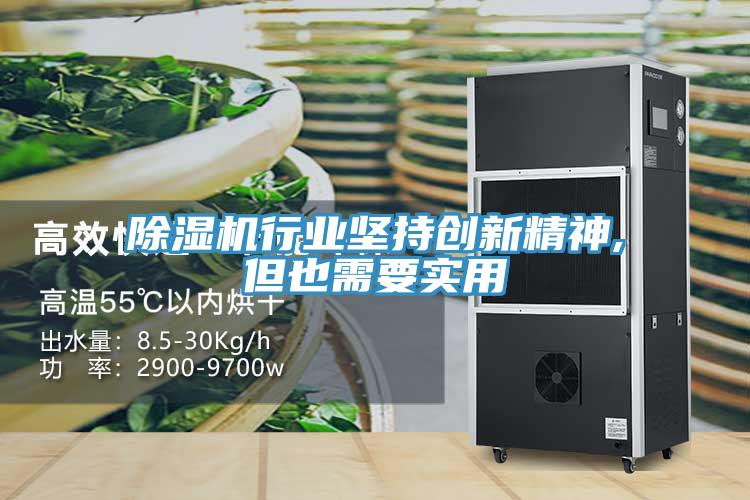 除濕機行業(yè)堅持創(chuàng  )新精神,但也需要實(shí)用