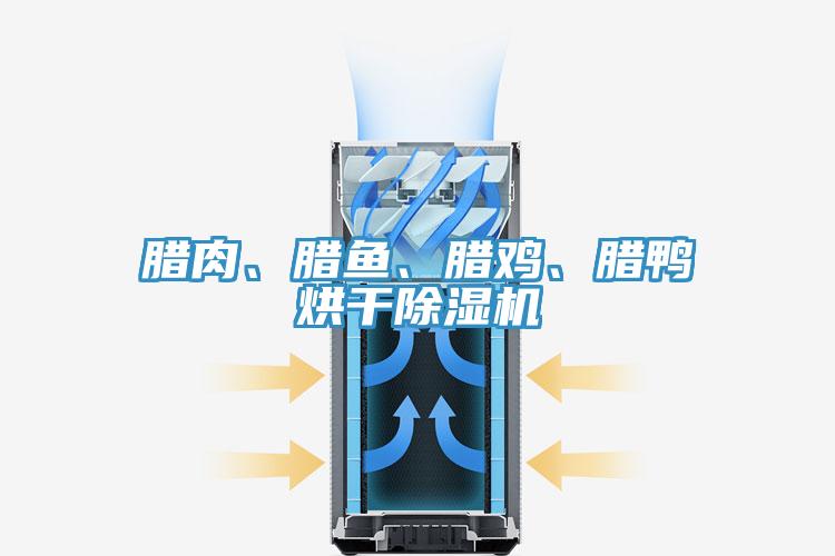 臘肉、臘魚(yú)、臘雞、臘鴨烘干除濕機