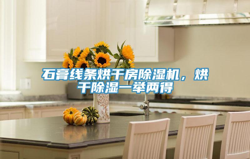 石膏線(xiàn)條烘干房除濕機，烘干除濕一舉兩得