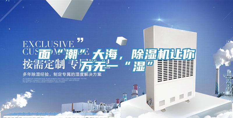 面“潮”大海，除濕機讓你萬(wàn)無(wú)一“濕”