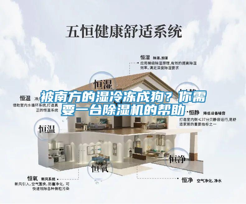 被南方的濕冷凍成狗？你需要一臺除濕機的幫助