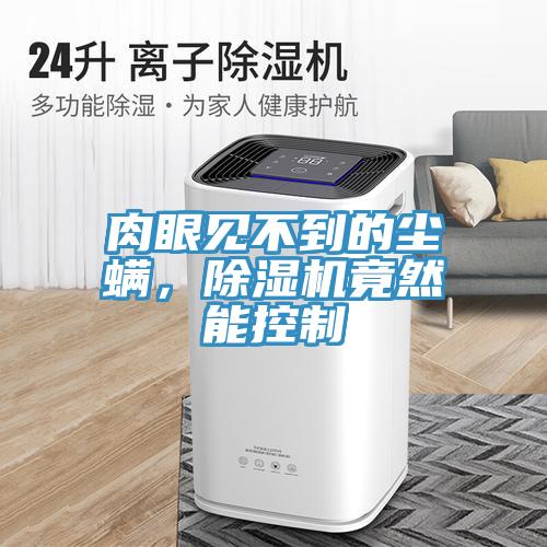 肉眼見(jiàn)不到的塵螨，除濕機竟然能控制