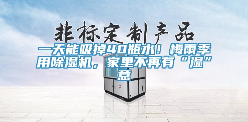 一天能吸掉40瓶水！梅雨季用除濕機，家里不再有“濕”意