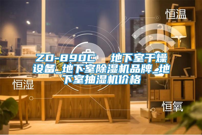 ZD-890C  地下室干燥設備_地下室除濕機品牌_地下室抽濕機價(jià)格
