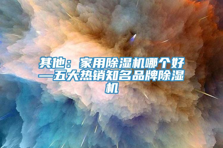 其他：家用除濕機哪個(gè)好—五大熱銷(xiāo)知名品牌除濕機