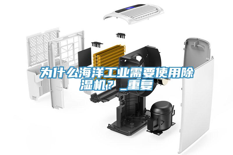 為什么海洋工業(yè)需要使用除濕機？_重復