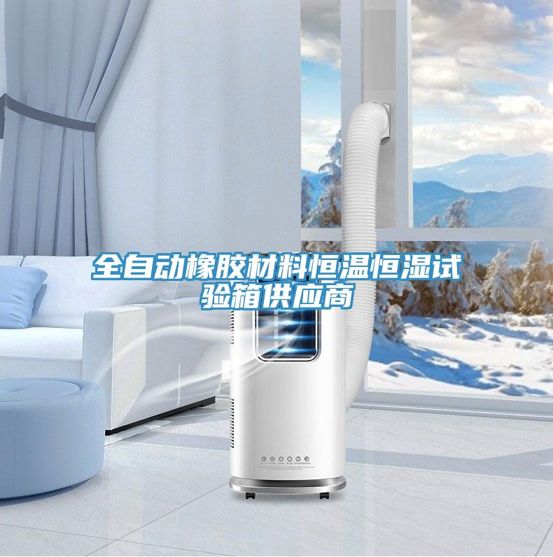 全自動(dòng)橡膠材料恒溫恒濕試驗箱供應商