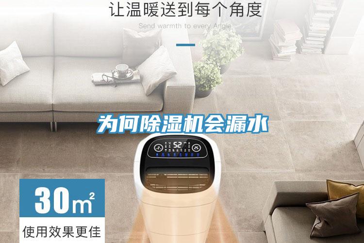 為何除濕機會(huì )漏水