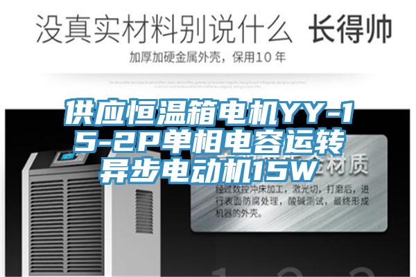 供應恒溫箱電機YY-15-2P單相電容運轉異步電動(dòng)機15W