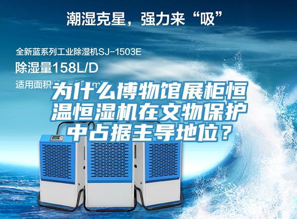 為什么博物館展柜恒溫恒濕機在文物保護中占據主導地位？