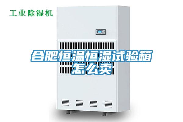 合肥恒溫恒濕試驗箱怎么賣(mài)