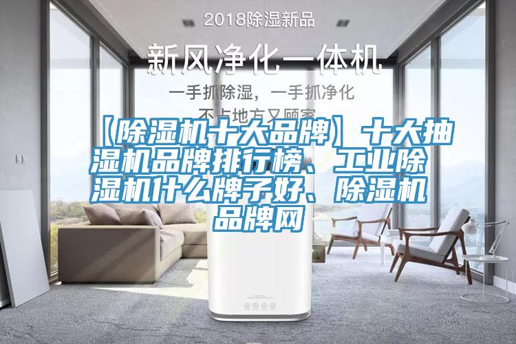 【除濕機十大品牌】十大抽濕機品牌排行榜、工業(yè)除濕機什么牌子好、除濕機品牌網(wǎng)