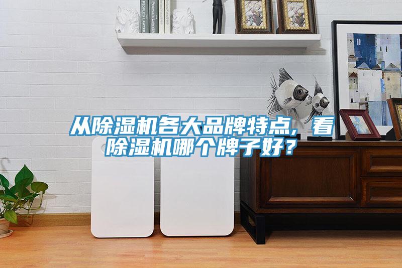 從除濕機各大品牌特點(diǎn), 看除濕機哪個(gè)牌子好？