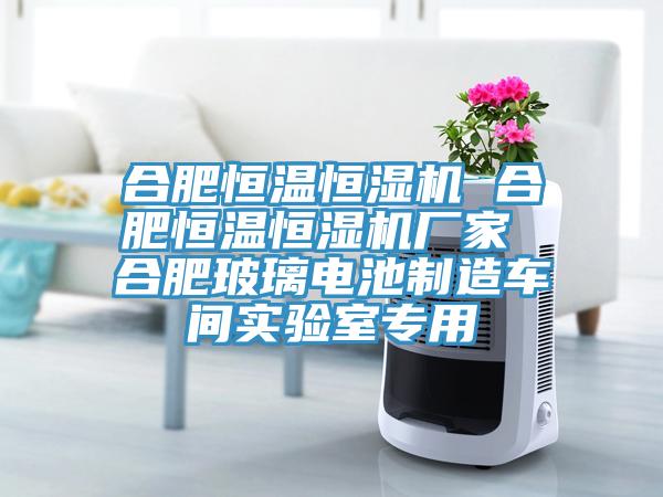 合肥恒溫恒濕機 合肥恒溫恒濕機廠(chǎng)家 合肥玻璃電池制造車(chē)間實(shí)驗室專(zhuān)用