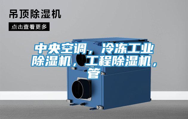 中央空調，冷凍工業(yè)除濕機，工程除濕機，管