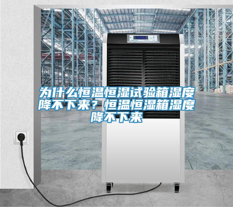 為什么恒溫恒濕試驗箱濕度降不下來(lái)？恒溫恒濕箱濕度降不下來(lái)