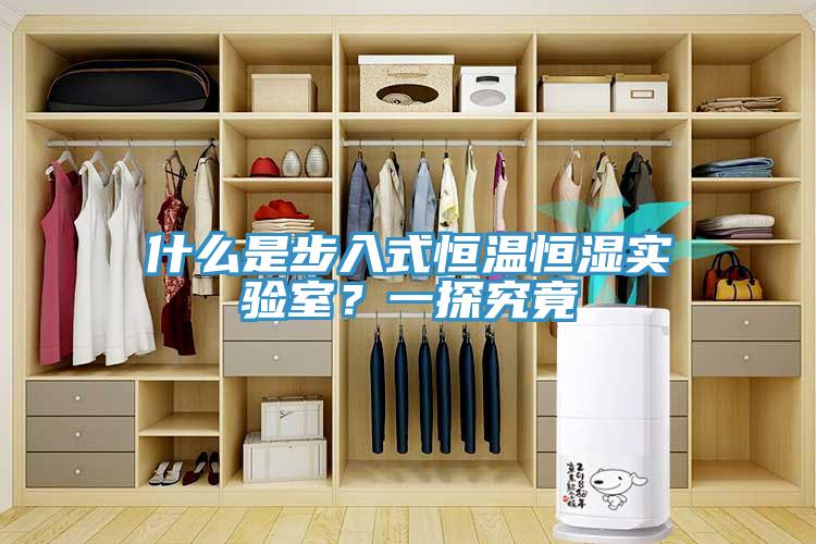 什么是步入式恒溫恒濕實(shí)驗室？一探究竟