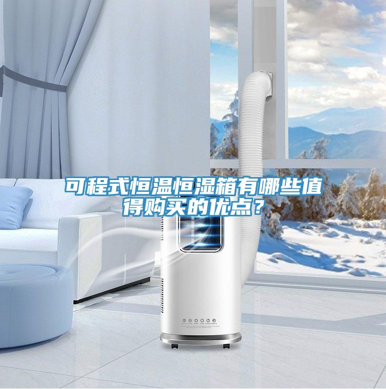 可程式恒溫恒濕箱有哪些值得購買(mǎi)的優(yōu)點(diǎn)？