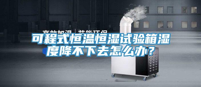 可程式恒溫恒濕試驗箱濕度降不下去怎么辦？