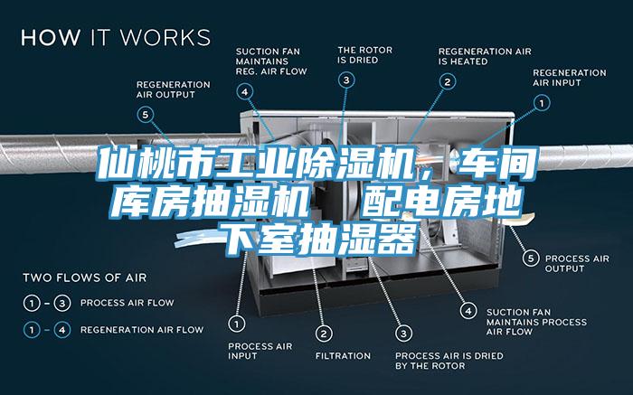 仙桃市工業(yè)除濕機，車(chē)間庫房抽濕機  配電房地下室抽濕器